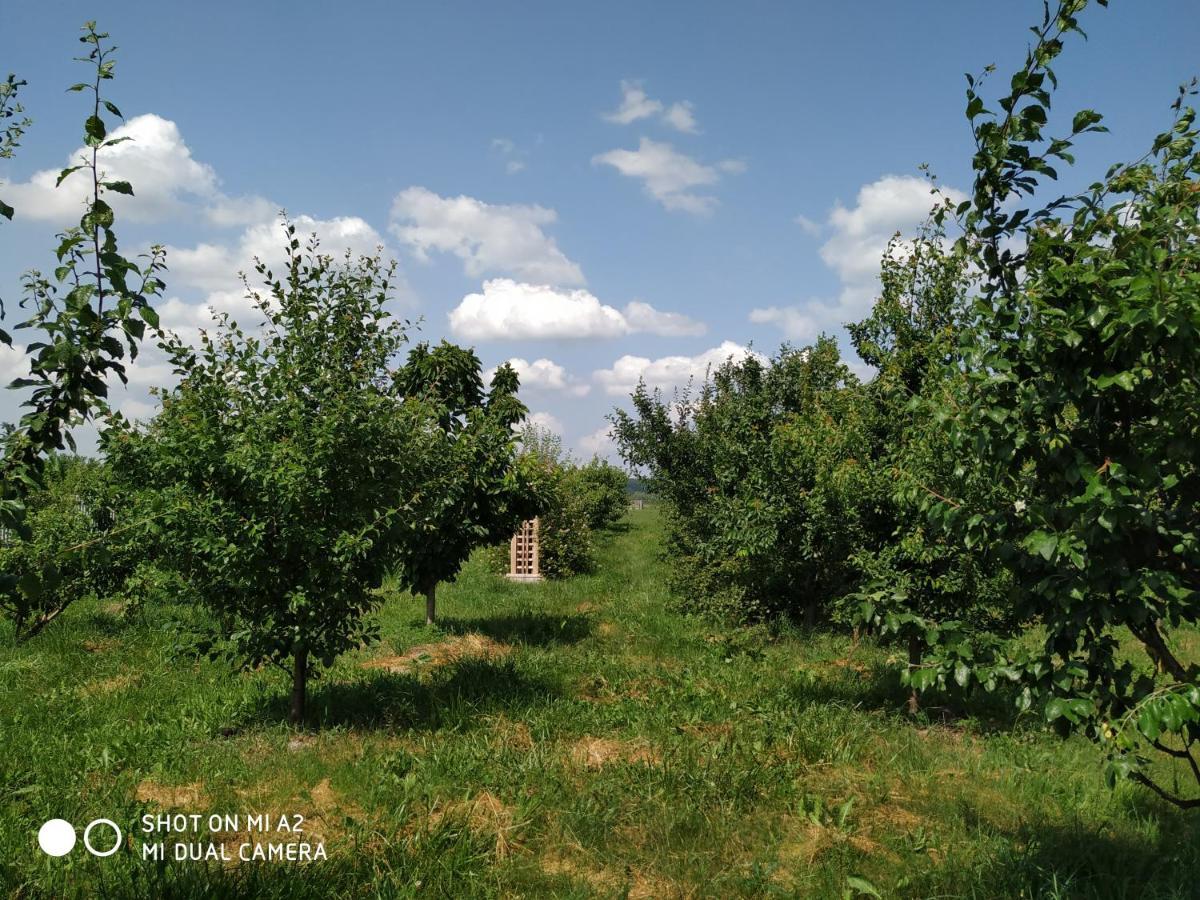 Noclegi Malgorzatka Solec Zdroj Exterior photo